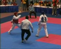 Rizal Sumbang Emas Terakhir Taek Wondo