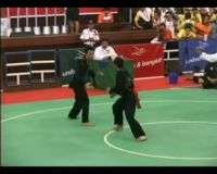 3 Emas Dihari Terakhir Silat