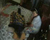 3 Tahun Hidup Serumah Bersama Buaya