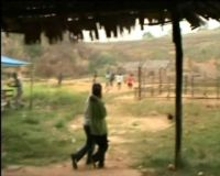 Mengintip Praktek Judi Sabung Ayam