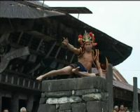 Pekik Perang Tarian Nias