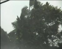 Badai Tropis Ancam Indonesia?