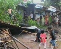 Dalam Hitungan Menit, Pohon Bertumbangan