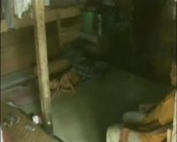 Penyakit Aneh, Melengkung dan Mengecil