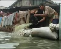 Ratusan Rumah Terendam Rob