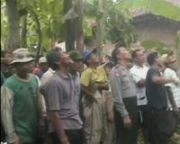 Tebang Pohon, Seorang Pria Tewas