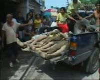 Korban Banjir Filipina Mencapai 440 Orang