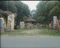 Komoditas Batu Fosil untuk Hiasan
