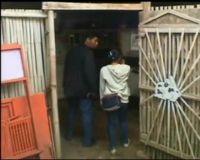Budaya Kelinci Impor Menguntungkan