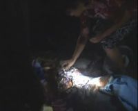 Seorang Siswi SMP Tewas Tertabrak KRL