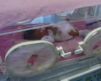 Bayi Tabung Lahir Kembar Empat