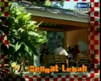Terapi Sengat Lebah