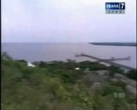 Berselancar Bersama Hiu Paus Tutul