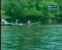 Bocah Ditemukan dalam Tubuh Buaya