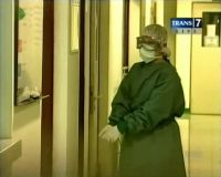Indonesia Belum Bebas Flu Burung