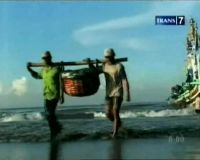 Ikan Makarel, Si Kecil Omega 3 Tinggi