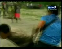 Judi Sabung Ayam Dibubarkan