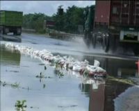 Banjir Genangi Banten, Jalan Tol Terganggu