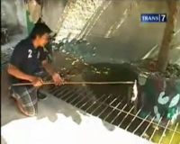 Seru, Wisata Memberi Makan Satwa Buas