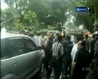 5 Mobil Tertimpa Pohon Tumbang, 1 Tewas