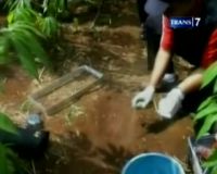 Jejak Kaki Raksasa, Buto Ijo yang Turun Gunung ?