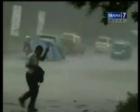 Awas, Pohon di Jakarta Rawan Tumbang