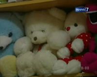 Boneka Bulu Sintesis, Pemicu Timbulnya Alergi 