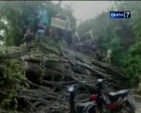 Pohon Tua Ambruk Tutup Badan Jalan