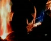 Dituding Curi Sapi, Dibakar Massa