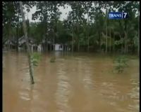 Banjir Bandang, Ratusan Rumah Terendam