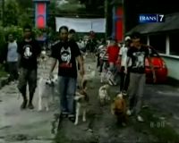 Jogging Sehat Dengan Anjing Kesayangan