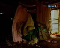 Harimau Lepas, Warga Panik