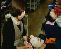 Menengok Negeri Ginseng Korea