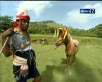 Derap Langkah Kuda Sumbawa