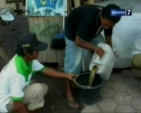 Pestisida Nabati Mampu Lumpuhkan Tomcat