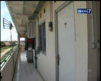 Tomcat, Predator yang Kehilangan Habitat