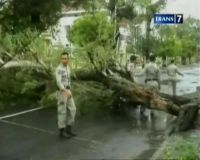 Angin Kencang, Pohon Timpa Siswi