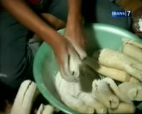 Tape Singkong, Si Pembangkit Energi
