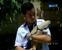 Reptil, Tren Baru Hewan Peliharaan