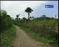 Mencari Air Hingga ke Timor Leste