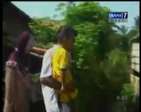 Heboh, Balita Obati Penyakit dengan Daun