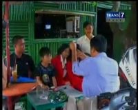 Nyamuk Berukuran Besar, Berbahayakah?