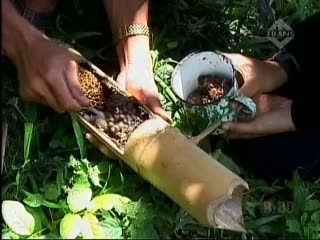 Ramadan, Saatnya Panen Madu Hutan Pulau Bawean