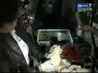 Ayam Tiren dan Sapi Gelonggong Beredar