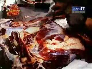 Rekayasa Daging dan Ayam Tak Layak Konsumsi