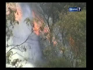 Gunung Papandayan Terbakar