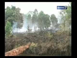  Kebakaran Hutan di Gunung Slamet Makin Meluas