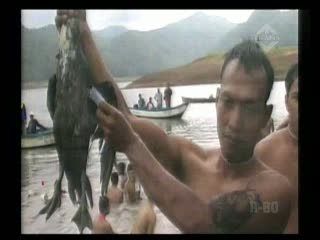 Tangkap Bebek untuk Rayakan Lebaran dan HUT RI