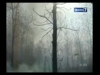 65 Ha Hutan Jati Terbakar