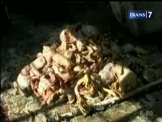 Polisi Gerebek Rumah Penjual Bakso Ayam Tiren